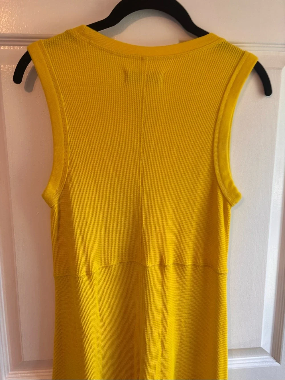 Everlane organic cotton